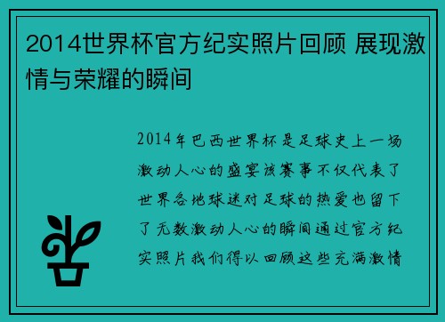 2014世界杯官方纪实照片回顾 展现激情与荣耀的瞬间